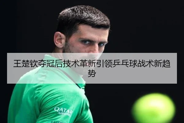 wang-chu-qin-duo-guan-hou-ji-shu-ge-xin-yin-ling-ping-pang-qiu-zhan-shu-xin-qu-shi-2-493.jpg