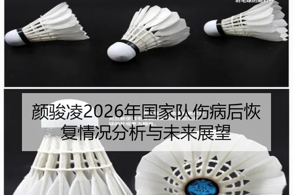 颜骏凌2026年国家队伤病后恢复情况分析与未来展望